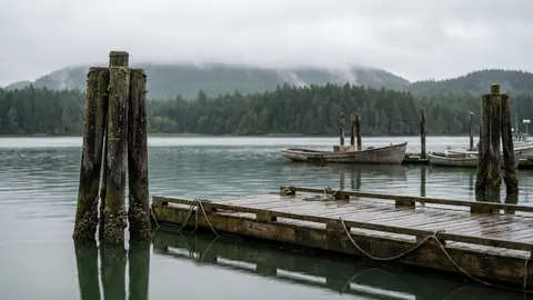 Wooden pilings and a floating dock in a calm harbour